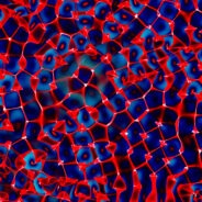 Drum Wrap Space Odysser - Blue Red